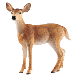 思乐仿真动物模型小动物玩具 长颈鹿斑马玩具儿童玩具男孩女孩 白尾母鹿14819