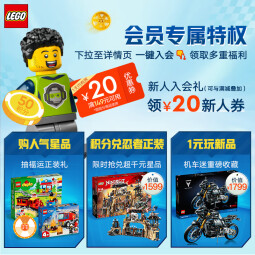 乐高（LEGO）积木拼装建筑系列 21056 泰姬陵18岁+男孩女孩玩具生日礼物