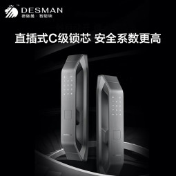 德施曼（DESMAN）智能门锁指纹锁全自动开锁防盗门锁后隐藏式指纹头电子密码锁Q5P Q5P高端黑