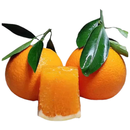 京鲜生湖北秭归果冻橙九月红脐橙4.5斤单果200g+应季水果 源头直发 包邮