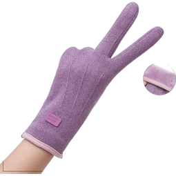 秋冬季手套女加绒加厚户外骑行电车开车防风防寒触屏冬天保暖手套 【女士三线】-紫色 均码