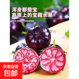 红果参新鲜当季现摘花青素超多红蜘蛛果水果-恒沫 云南红果参小果8盒装