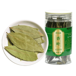 吟山红正宗香叶香料家用大料香叶调料卤料干货炖肉香料 香叶25g