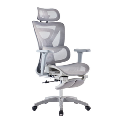 Totguard  人体工学椅电脑椅办公椅电竞椅学习椅人工力学成人椅 E1-云烟灰