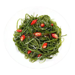 海带丝盐渍新鲜食材厚海白菜高泡发昆布丝结片 火锅食材 凉拌蔬菜 海带丝500g/袋