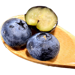 京鲜生 云南糖豆蓝莓 4盒12mm+ 装125g/盒  生鲜水果 源头直发包邮
