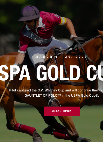 Polo Association US