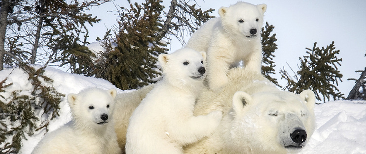 冬天取暖神器推荐