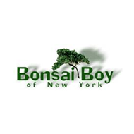 名称：Bonsai Boy of New York