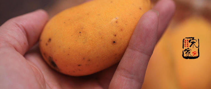 芒果有“黑点”能不能买？