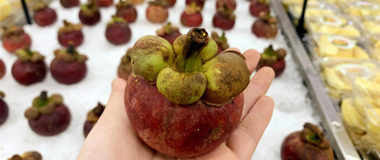 挑选山竹小技巧