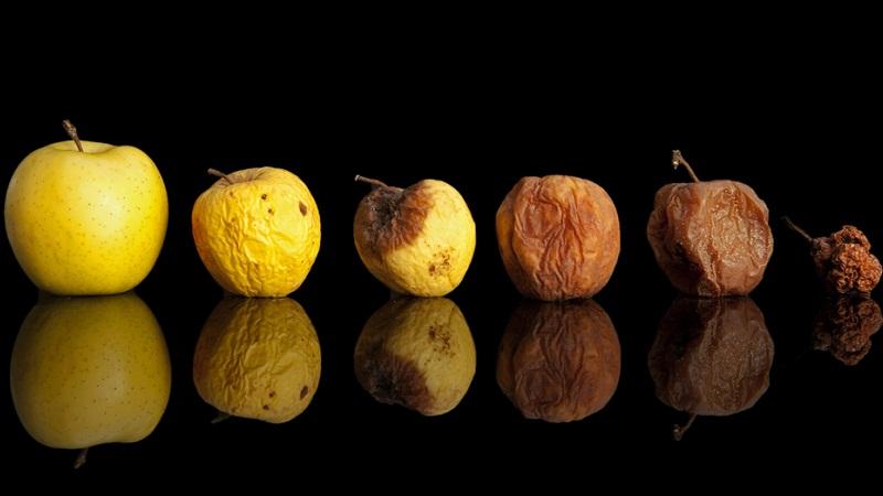 烂水果刨去烂的部分还能吃吗？