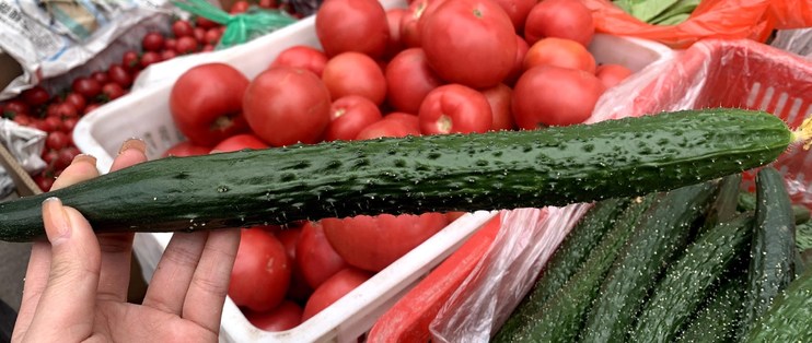 记住3点，轻松辨别“激素黄瓜”