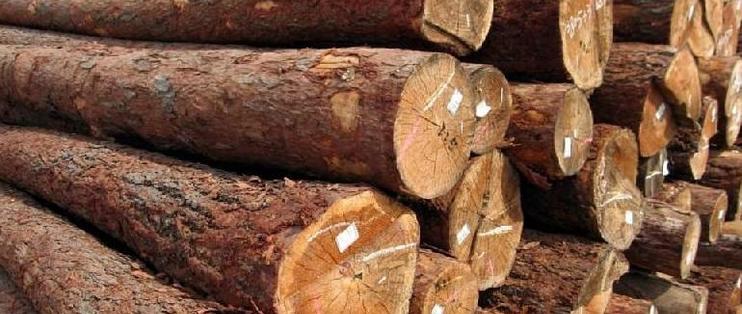 木材涨价家具厂被迫关门