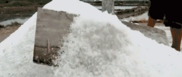 日本核污水入海引发韩国抢盐潮