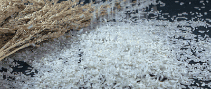 全球超1.55亿人面临重度粮食不安全