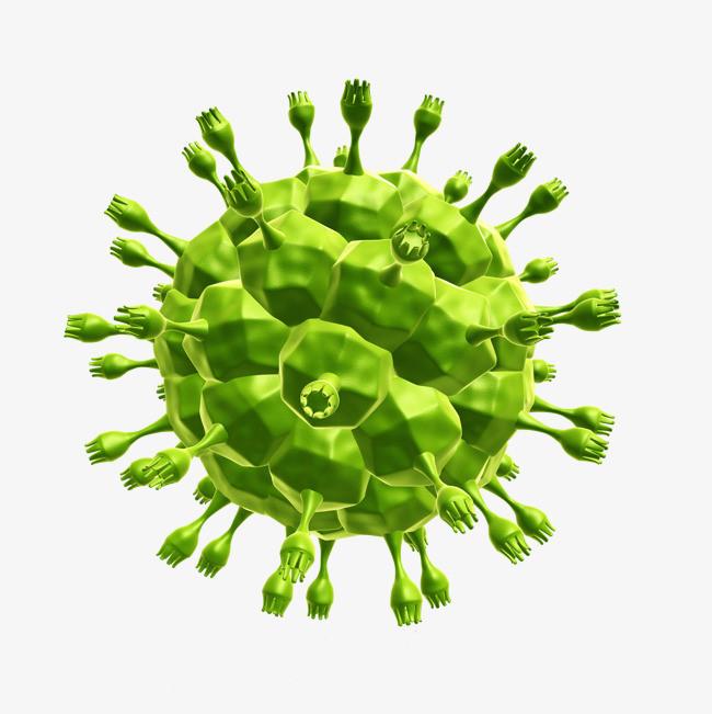 华南海鲜市场不是疫情发源地