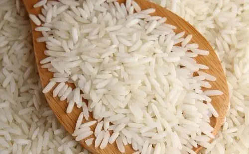 金龙鱼大米是金龙鱼水稻种出来的吗？