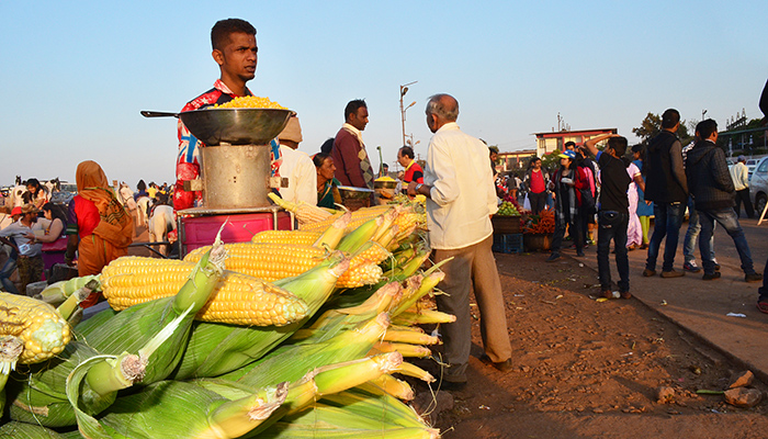全球食品价格急速攀升