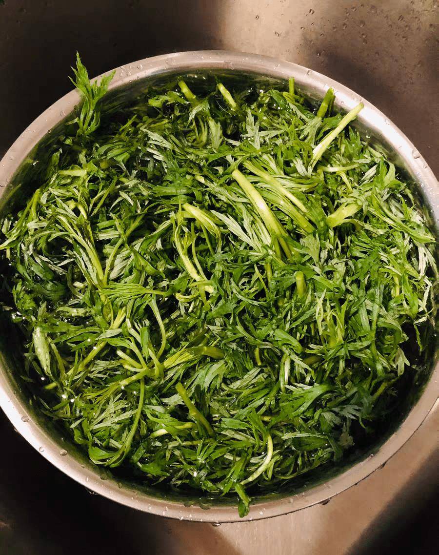 1,首先,我们将购买的柳蒿芽身上的黄叶和老根清洗干净,将柳蒿芽用清水