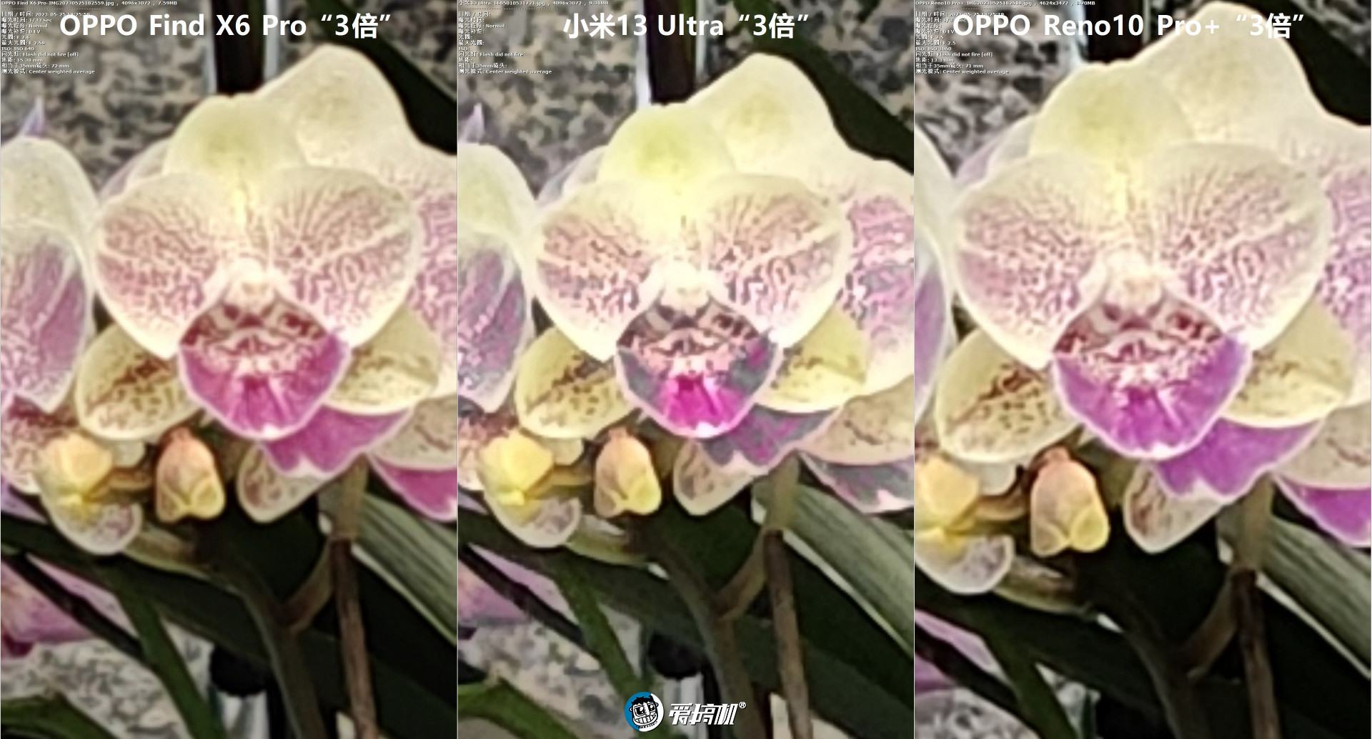 中端潜望长焦大佬,OPPO Reno10 Pro+评测