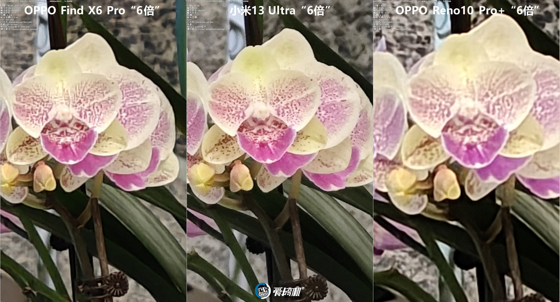 中端潜望长焦大佬,OPPO Reno10 Pro+评测