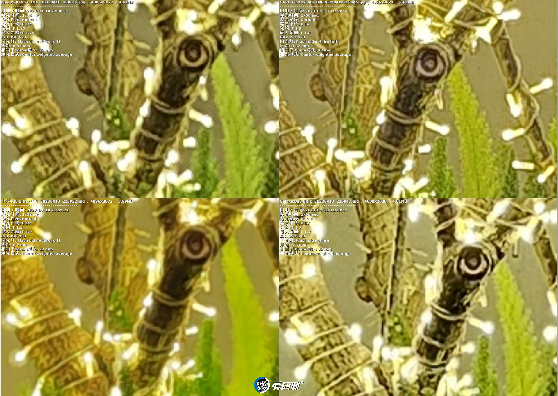 旗舰对决,OPPO Find X6 Pro、vivo X90 Pro+、三星S23 Ultra、小米12S Ultra拍照横评