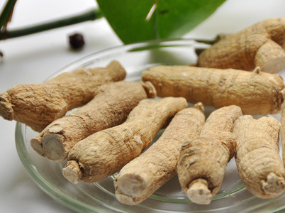 秋季西洋参泡茶:补气,降血糖的好处,但2类人需谨慎 - 丁丁打折网