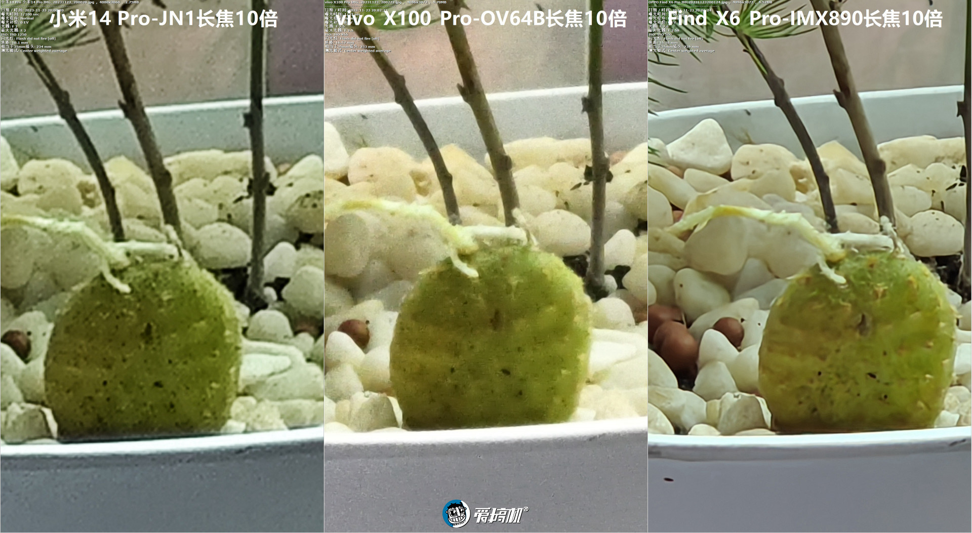 越“杯”作战，vivo X100 Pro评测：刀法大成的天玑9300+真·影像旗舰