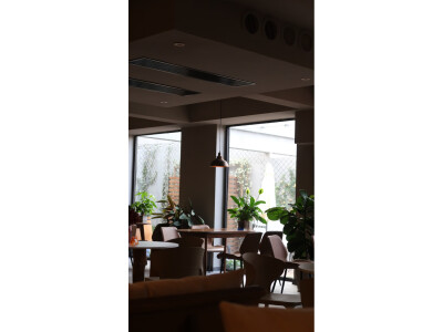 讲讲索尼ZV-E10L和iphone14pro区别大不大?价格哪个好更划算? 观点 第4张-本站 讲讲索尼ZV-E10L和iphone14pro区别大不大?价格哪个好更划算? 观点 第4张