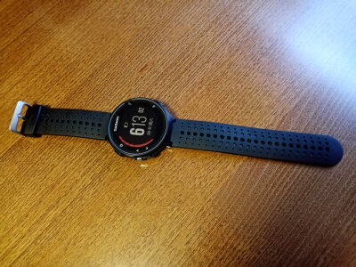 评测佳明965和265区别?亲们怎样选择哪个好? 观点 第5张-本站 评测佳明965和265区别?亲们怎样选择哪个好? 观点 第5张