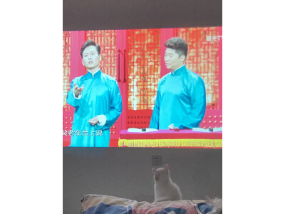 使用对比大眼橙x7d pro和当贝f3air区别很小么？如何做出选择哪个好？ 观点 第4张