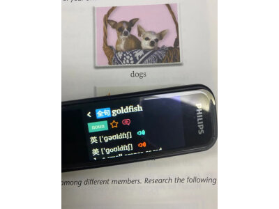 曝光有道p6和p5哪个好啊?怎么样选择区别如何? 观点 第5张-本站 曝光有道p6和p5哪个好啊?怎么样选择区别如何? 观点 第5张