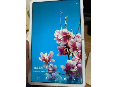 说说荣耀v8pro和华为matepad11哪个好？区别真的很大吗？ 观点 第5张