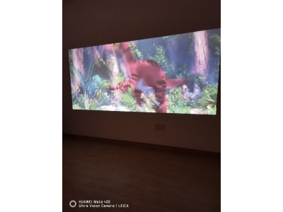 问明白知麻m1跟轰天炮d86哪个好？区别都有啥选择哪个？ 观点 第4张