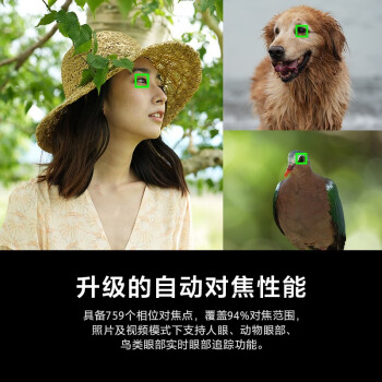 揭秘索尼a7m4和尼康z7ii哪个好些？使用感受区别大吗？ 观点 第3张