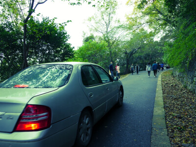 揭秘索尼a7m4和尼康z7ii哪个好些？使用感受区别大吗？ 观点 第4张