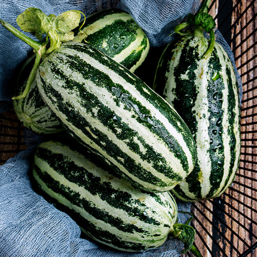 无名农夫jd顺丰配送山东博洋9号甜瓜羊角蜜香瓜新鲜绿宝石水果脆瓜