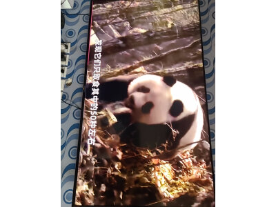 评价长虹65d7pro和鹤7Pro区别很大么？大家说说选择哪个好？ 观点 第5张