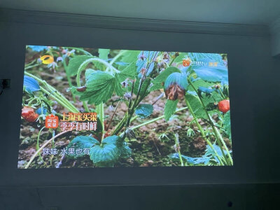 谁解答坚果nano和n1air哪个好点？使用感受区别如何？ 观点 第5张