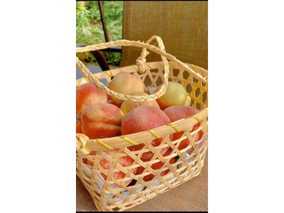 如何说尼康zfc和z50怎么选区别很大么？价格哪个好更划算？ 观点 第4张