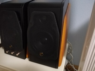 说一说jbl音乐脉动5代与铂傲B20哪个好呢？区别很大吗如何选？ 观点 第4张