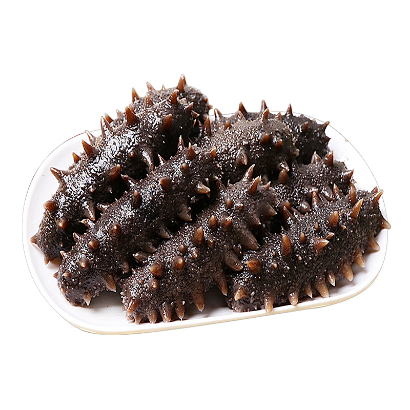 东上御品野生即食大连鲜活辽海参