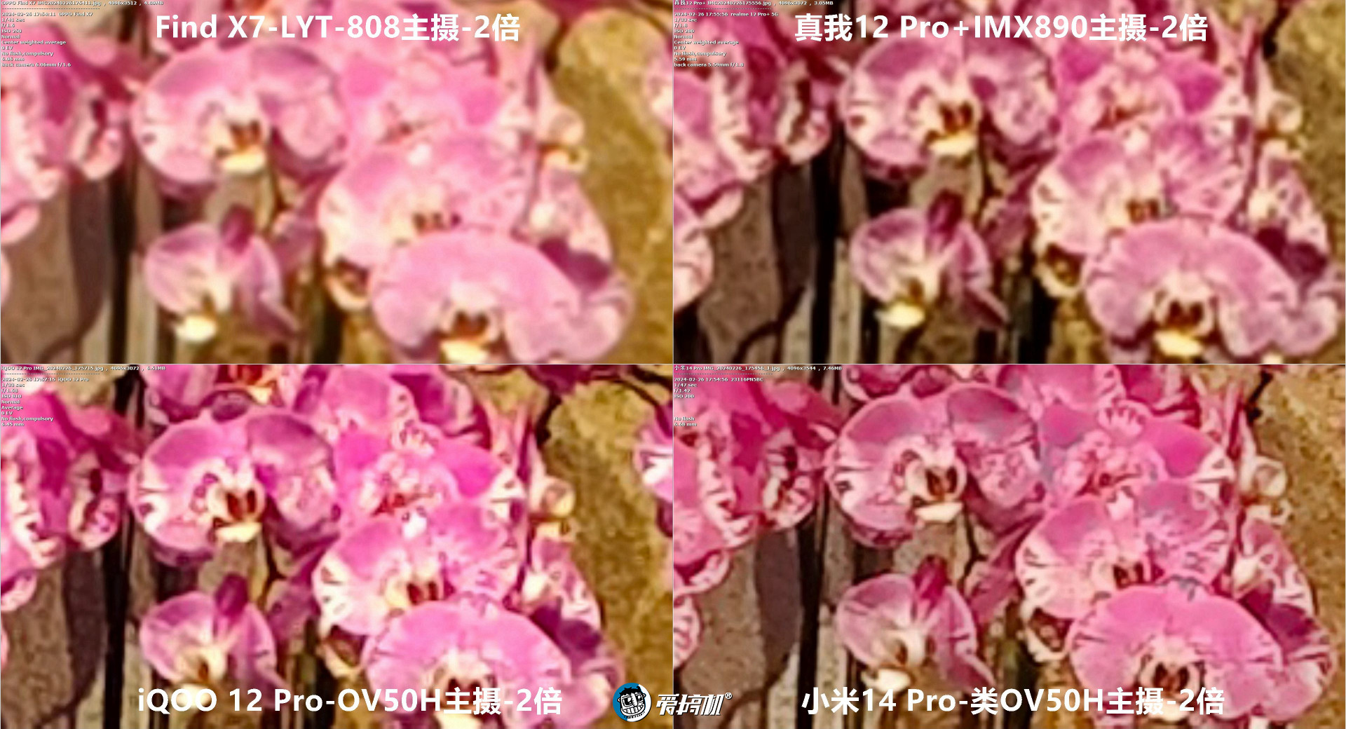 1599元起的“败家子”！真我12 Pro+评测：3倍潜望OV64B+IMX890+骁龙7s Gen 2