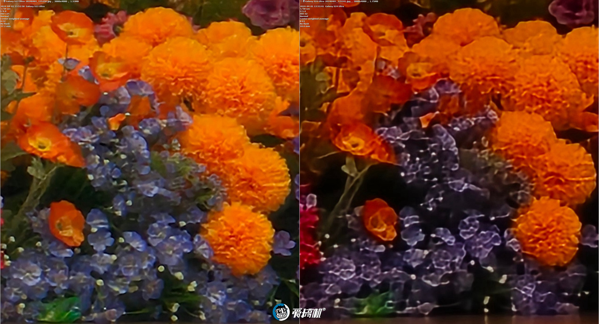 星粉落泪，三星Galaxy  S24 Ultra、S23 Ultra拍照对比