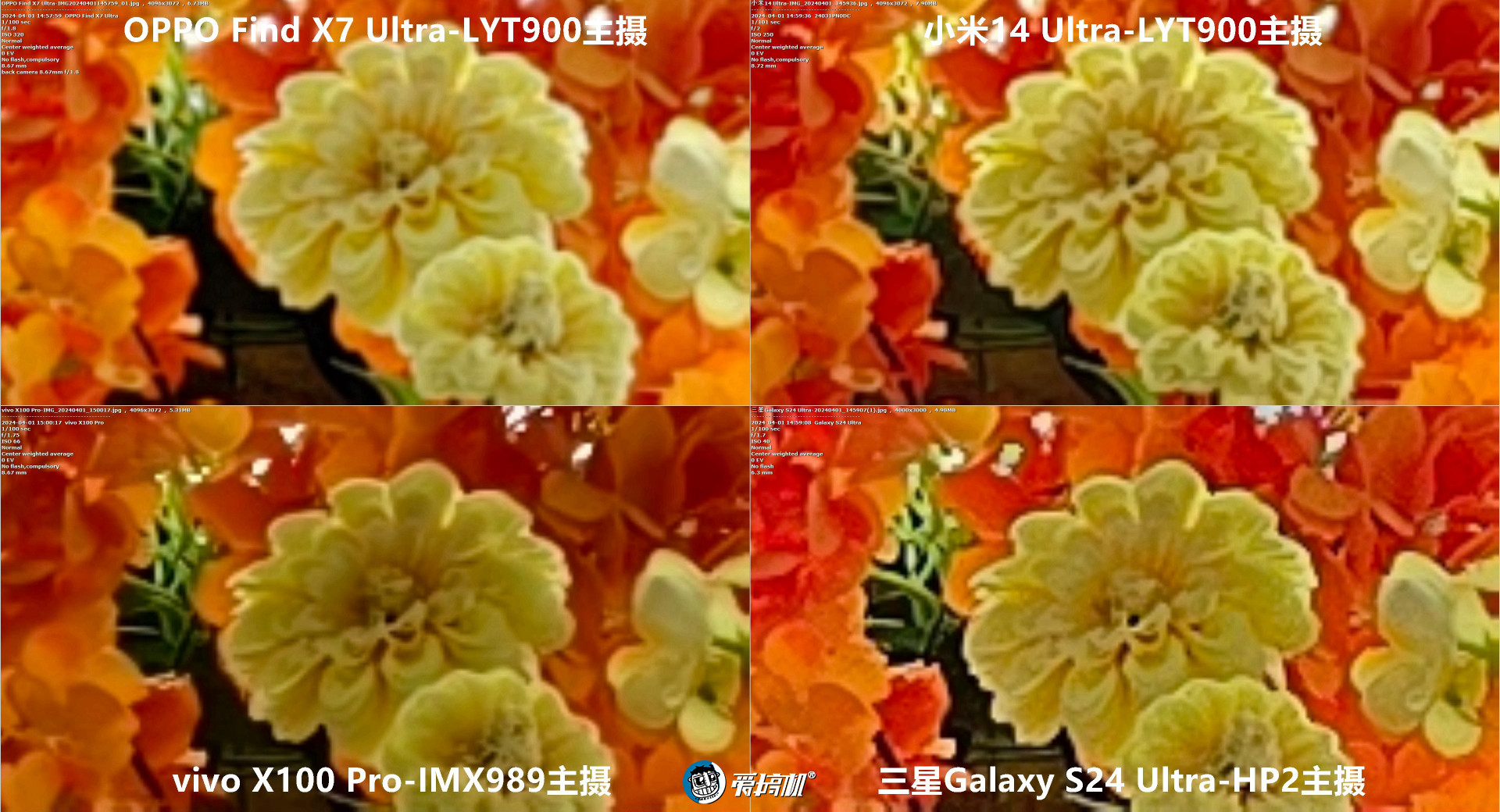 机皇对决,小米14 Ultra、Find X7 Ultra、三星S24 Ultra、vivo X100 Pro拍照对比