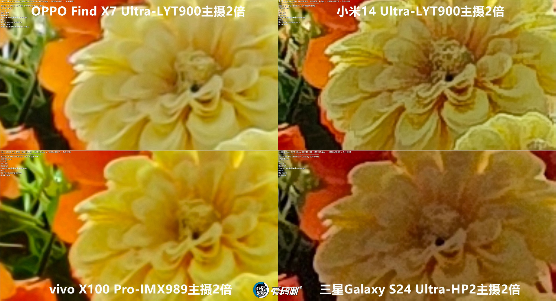机皇对决,小米14 Ultra、Find X7 Ultra、三星S24 Ultra、vivo X100 Pro拍照对比