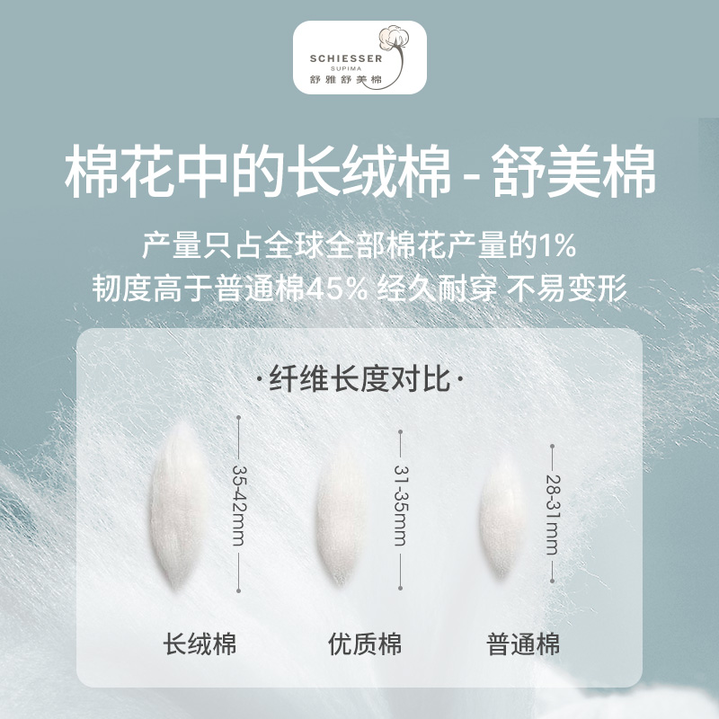 2条装SCHIESSER舒雅S2舒美棉棉质透气男士中腰三角内裤20750S