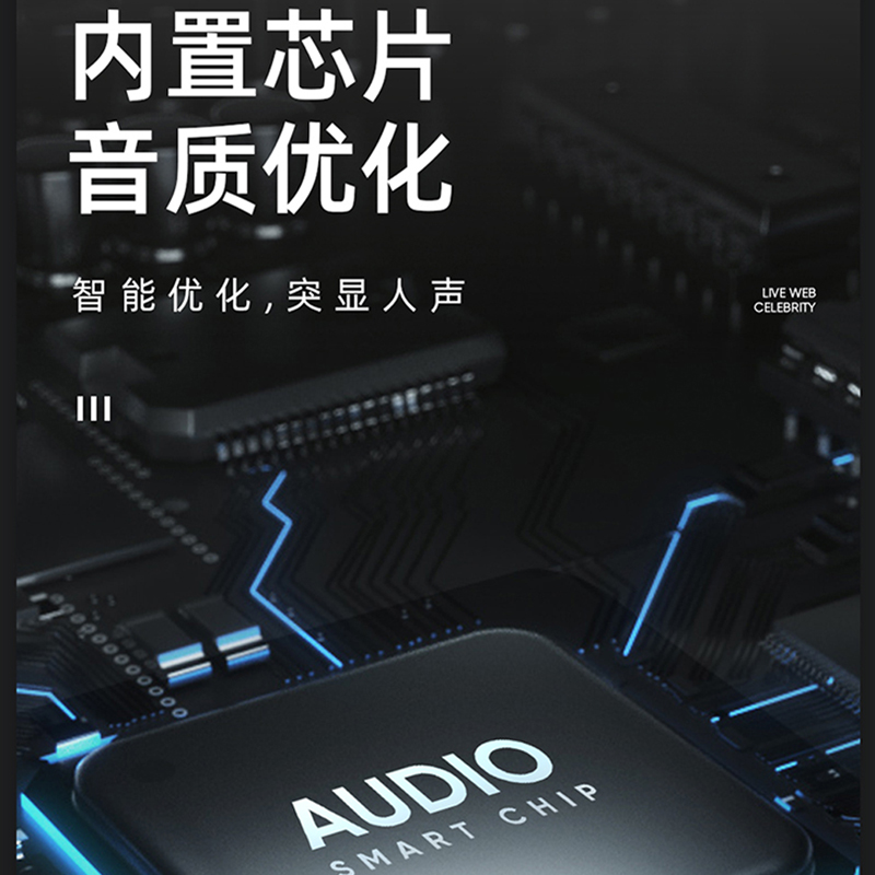 得普声K12 电脑麦克风录音直播台式usb配音设备主播有线话筒