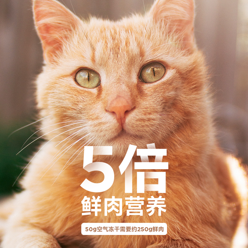 有鱼空气冻干猫零食增肥发腮营养幼猫成猫0添加鸡肉粒猫咪零食50g
